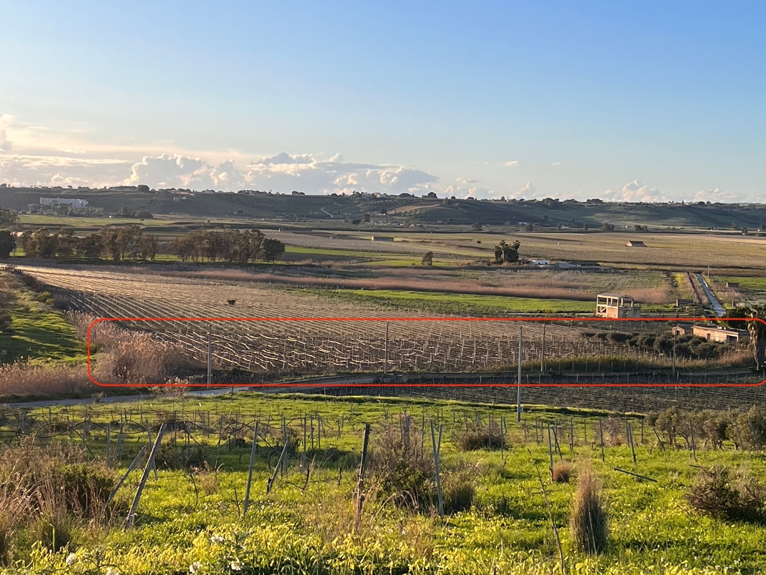 Farmhaus mit eigenem Weinanbau.